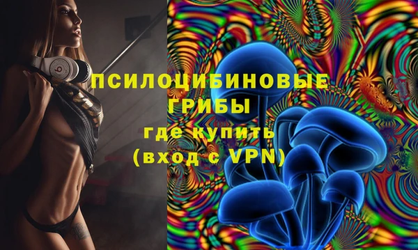 стафф Нягань