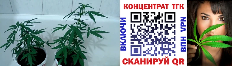 ТГК гашишное масло  магазин    Черноголовка 
