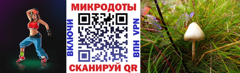 Псилоцибиновые грибы Psilocybe  купить наркоту  Черноголовка 